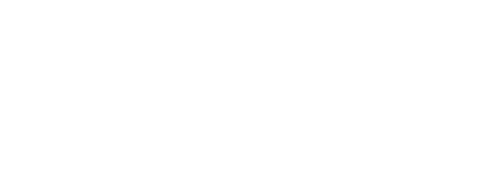 Lions Consulting